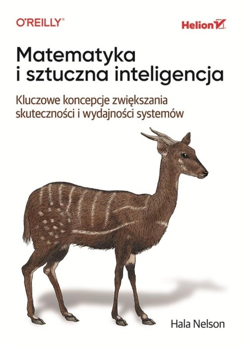 Matematyka i sztuczna inteligencja