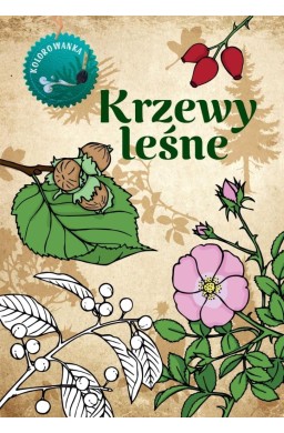 Krzewy leśne kolorowanka