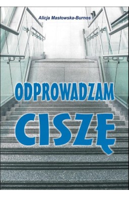 Odprowadzam ciszę