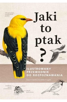 Jaki to ptak? Ilustrowany przewodnik...