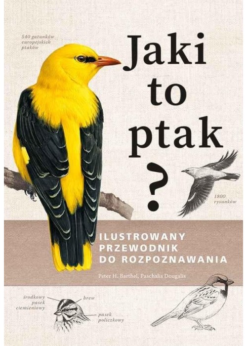 Jaki to ptak? Ilustrowany przewodnik...