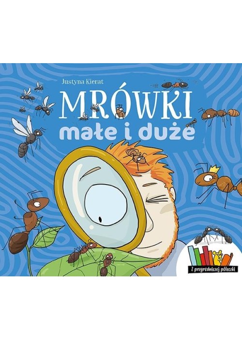 Mrówki małe i duże