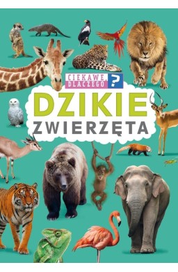 Ciekawe, dlaczego? Dzikie zwierzęta