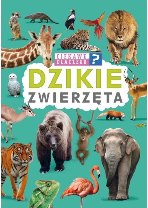 Ciekawe, dlaczego? Dzikie zwierzęta