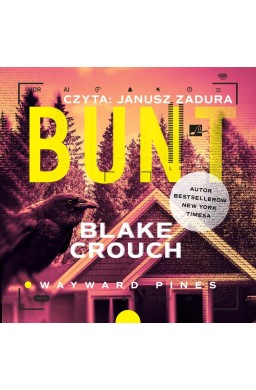 Bunt audiobook