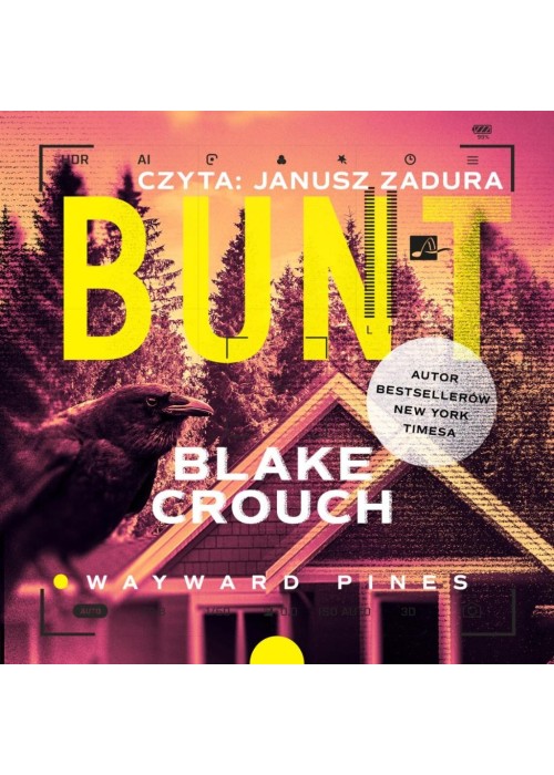 Bunt audiobook