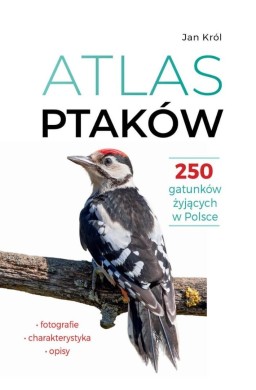 Atlas ptaków