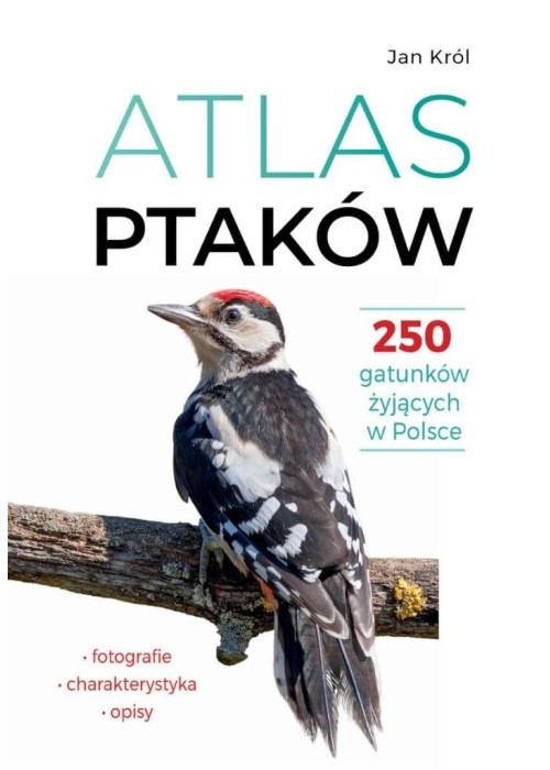 Atlas ptaków