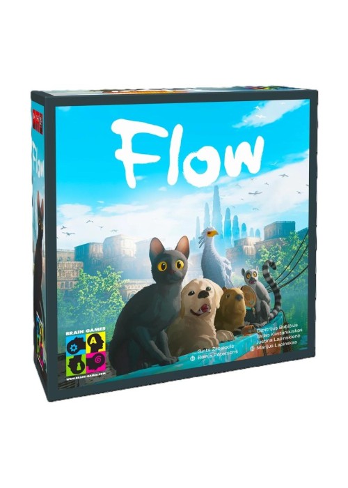 Flow BRAIN GAMES