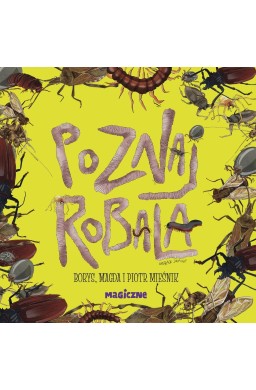 Poznaj robala