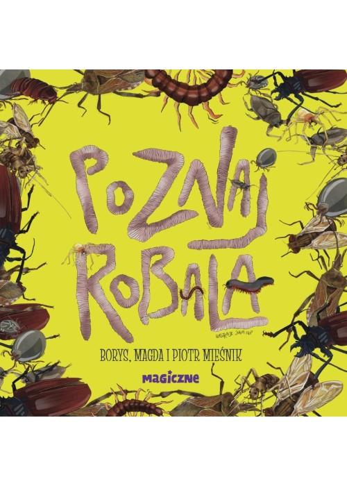 Poznaj robala