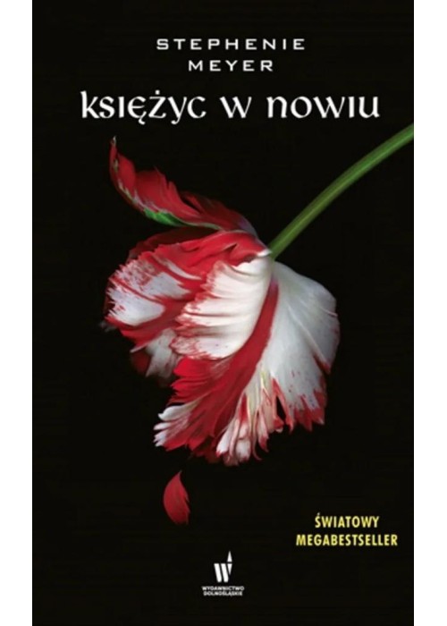 Księżyc w nowiu