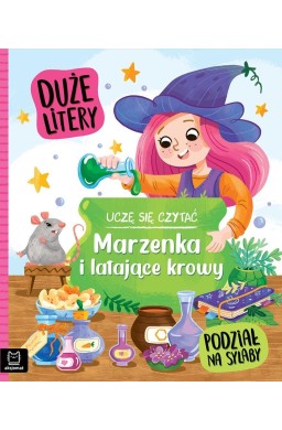 Uczę się czytać. Duże litery. Podział na sylaby