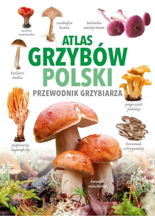 Atlas grzybów Polski