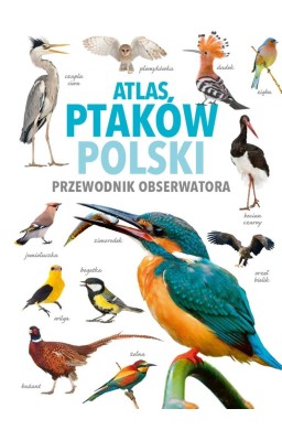 Atlas ptaków Polski