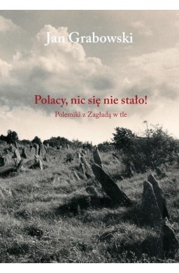 Polacy, nic się nie stało!