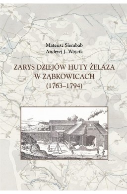 Zarys dziejów huty żelaza w Ząbkowicach 1763-1794