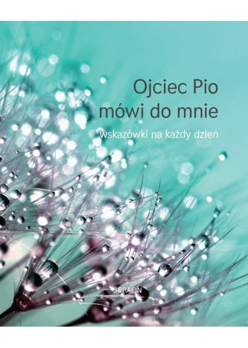 Ojciec Pio mówi do mnie - wskazówki na każdy dzień