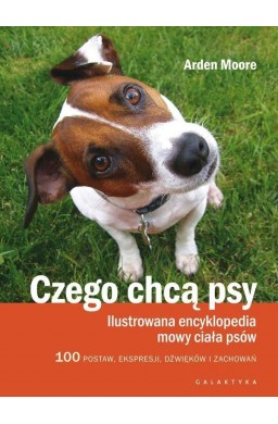 Czego chcą psy