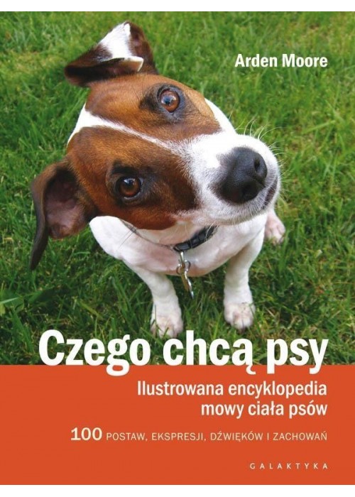 Czego chcą psy