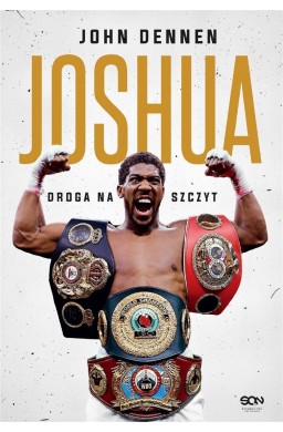 Joshua. Droga na szczyt w.2