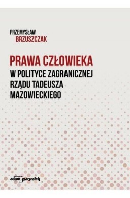 Prawa człowieka w polityce zagranicznej...Przemysł