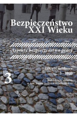 Bezpieczeństwo XXI wieku T.3