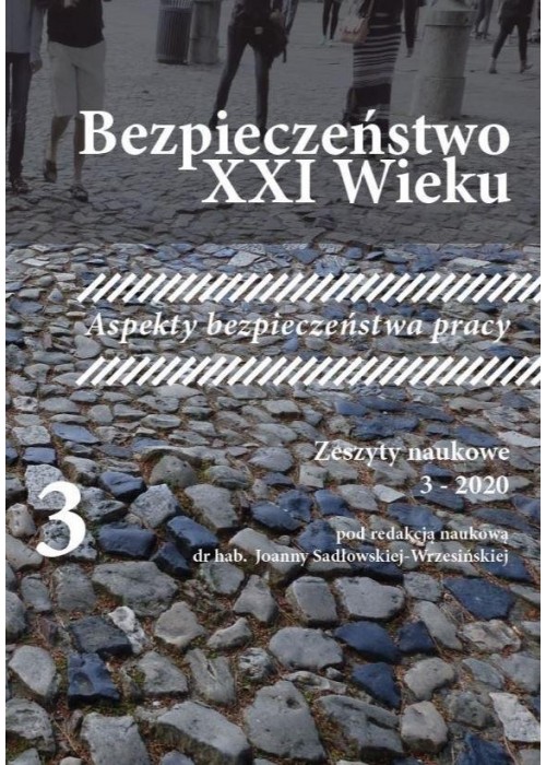 Bezpieczeństwo XXI wieku T.3