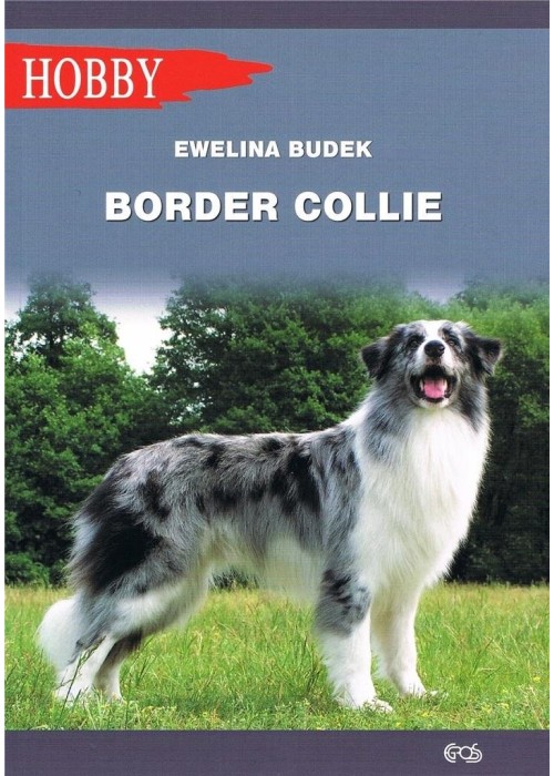 Border Collie w.2020