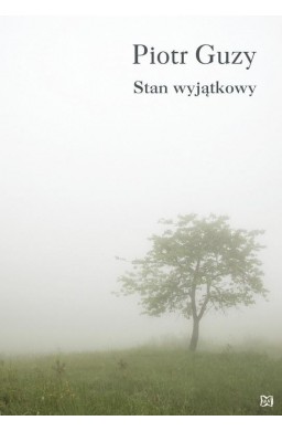 Stan wyjątkowy