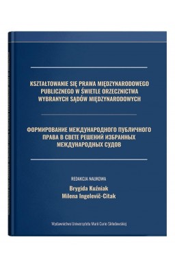 Kształtowanie się prawa międzynarodowego pub. ...