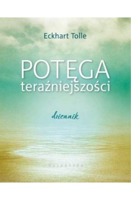 Potęga teraźniejszości. Dziennik