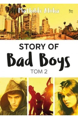 Story of Bad Boys T.2