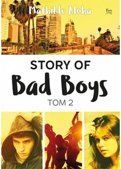 Story of Bad Boys T.2