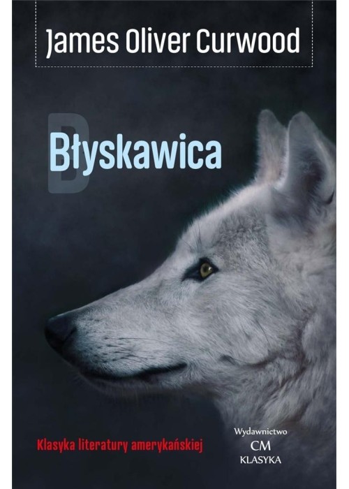 Błyskawica