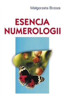 Esencja numerologii