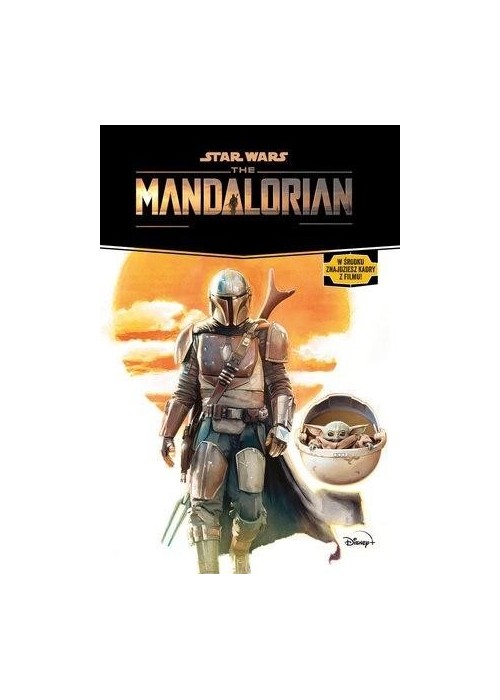 Star Wars The Mandalorian