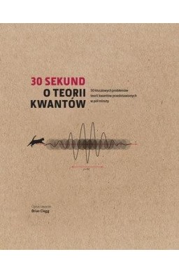 30 sekund O teorii kwantów