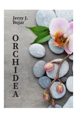 Orchidea