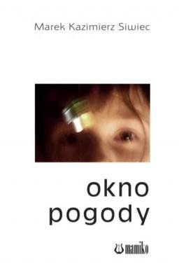 Okno pogody