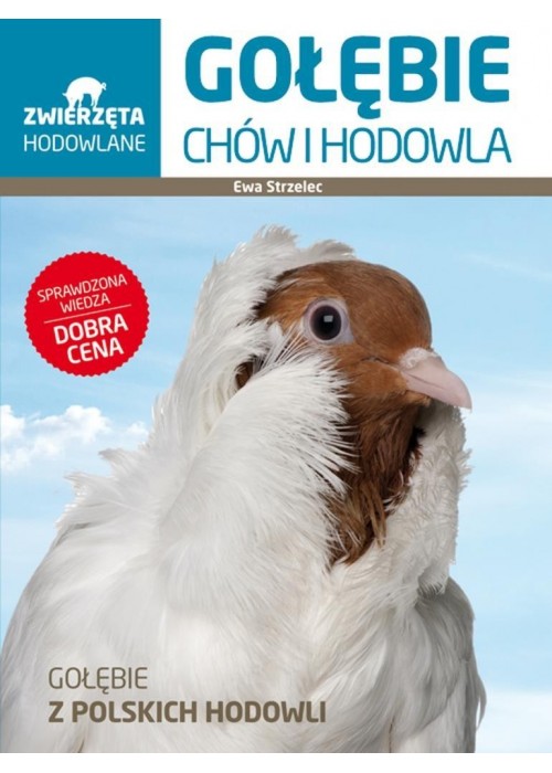 Zwierzeta hodowlane. Gołębie. Chów i hodowla