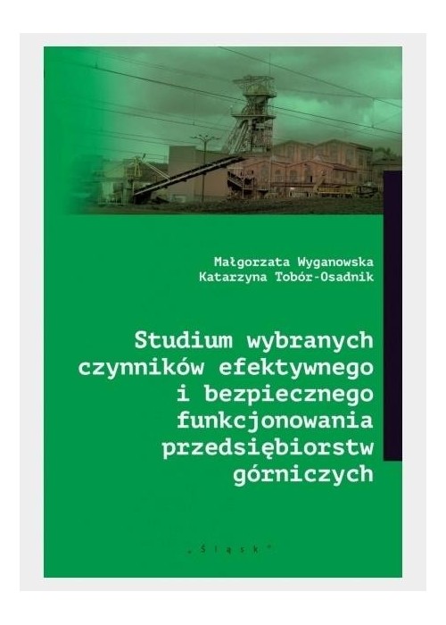 Studium wybranych czynników efektywnego...