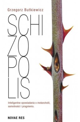 Schizopolis