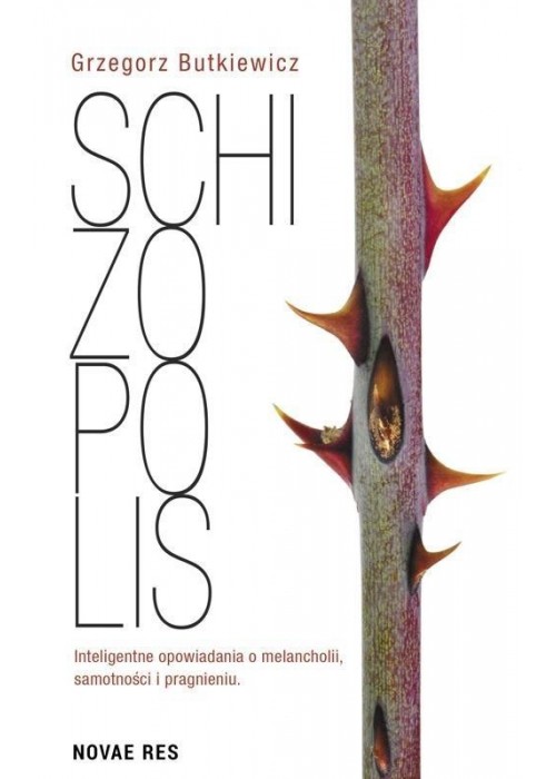 Schizopolis