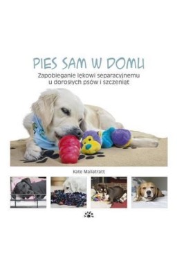 Pies sam w domu. Zapobieganie lękowi...