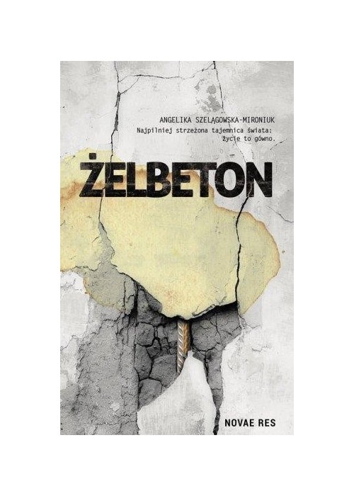 Żelbeton