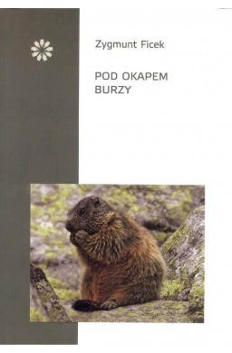 Pod okapem burzy