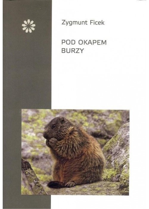 Pod okapem burzy