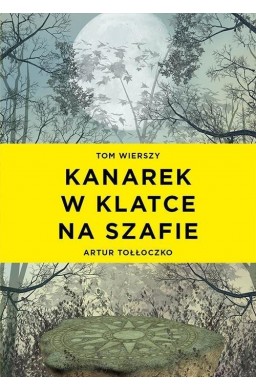 Kanarek w klatce na szafie