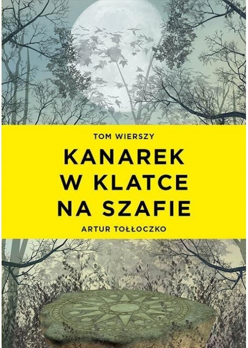 Kanarek w klatce na szafie